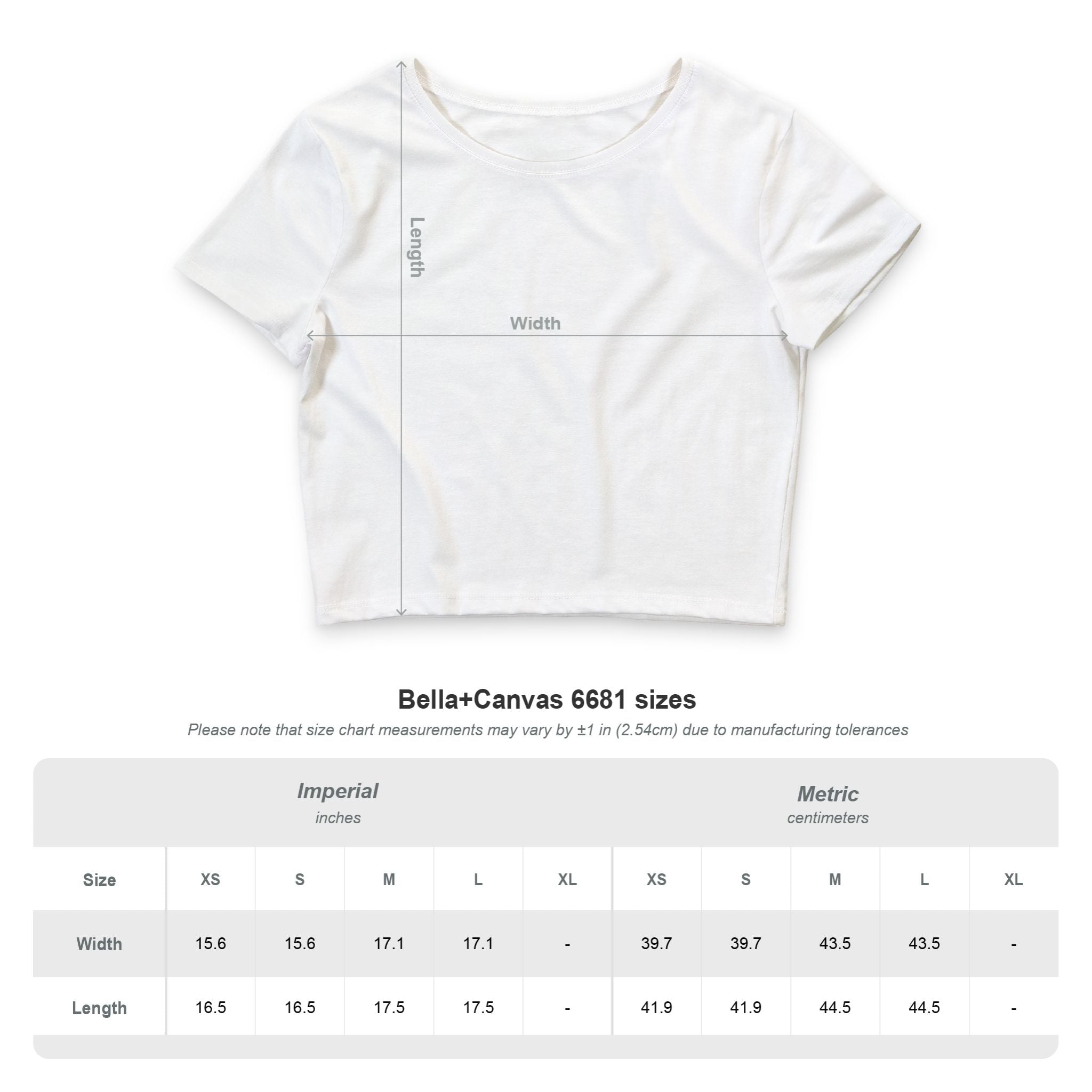 Gothic Moonlight Crop Tee — Haunted Reflection Graphic